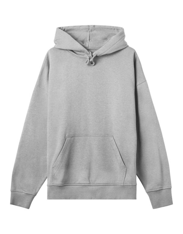 True Blanks – Hoodies boxy Gris chiné( 260 Gsm )